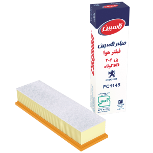 Peugeot 206 Short Air Filter