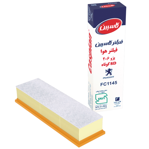 Peugeot 206 Short Air Filter